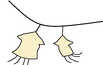 お焚き上げの火で焼くもの?2 するめ 7b56c5806c03d7096820c06f321ab5f21