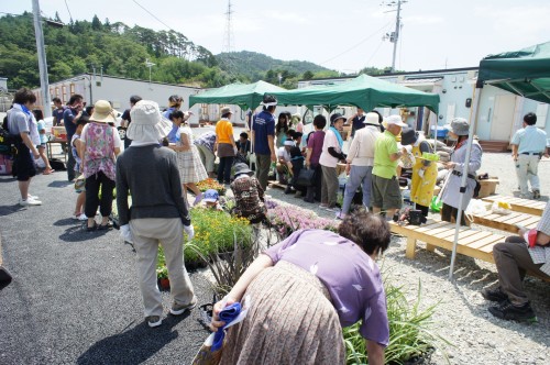 寄せ植えボランティア