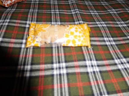 スマホの方がキレイに撮れる… IMG_0009-465x348