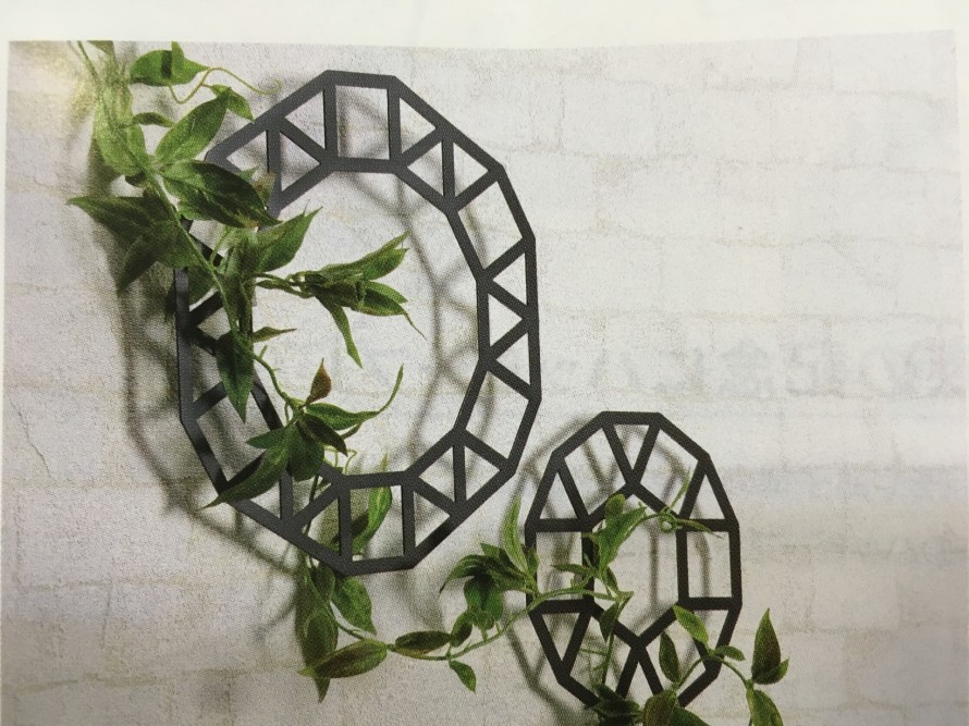 つる性の植物と絡めて ウォールアクセサリー 外構 門 IMG_1586