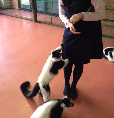 かわいすぎる・・ IMG_1843