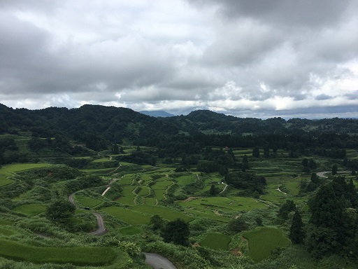 星峠の棚田 IMG_35891