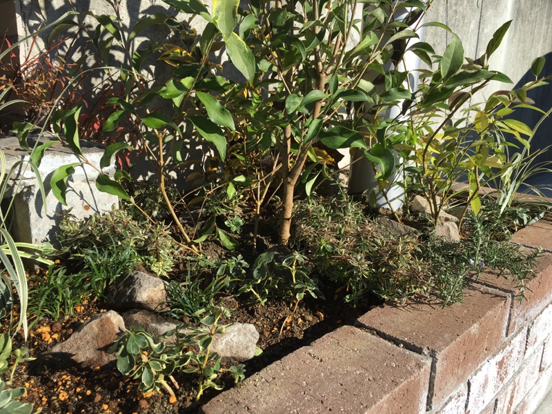 門まわり 外構 植栽 花壇 インゴット ガラス ライトアップ 潤い IMG_9805