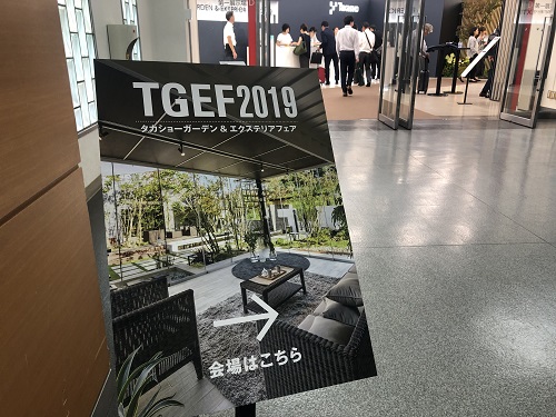 TGEF2019