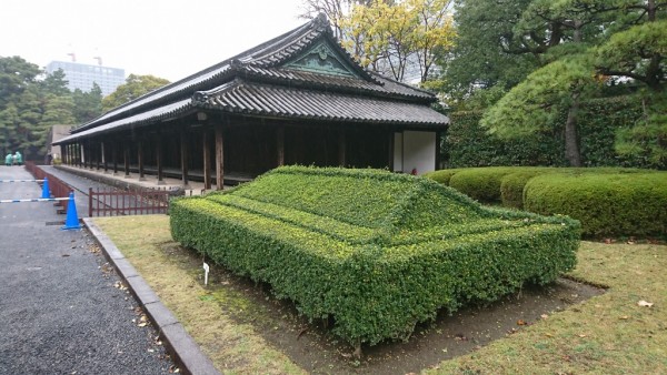 百人番所　刈り込み