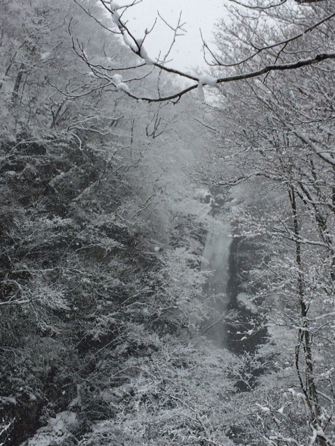 雪化粧の秋保大滝 c11de02b7b5def4dfa28ac8b2438cc03