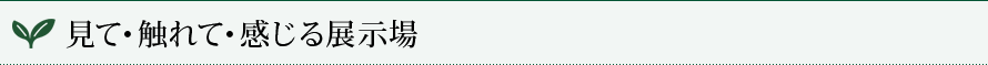 見て・触れて・感じる展示場