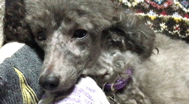 権佐 gonza