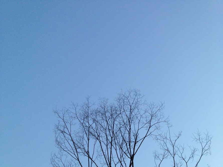 img_3219 img_3219