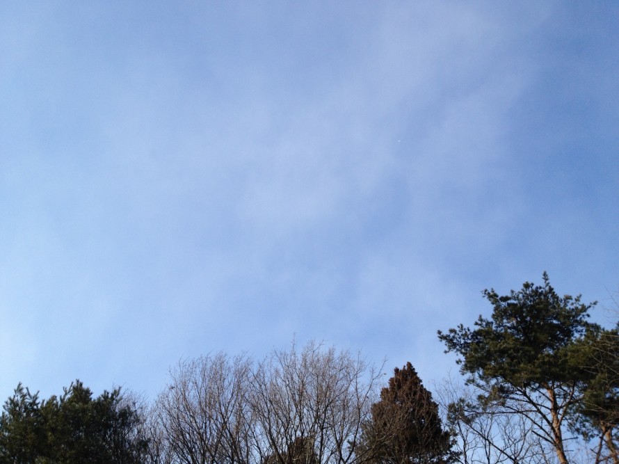 img_3258 img_3258