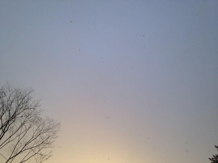 img_3358 img_3358