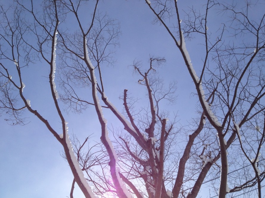 img_3406 img_3406