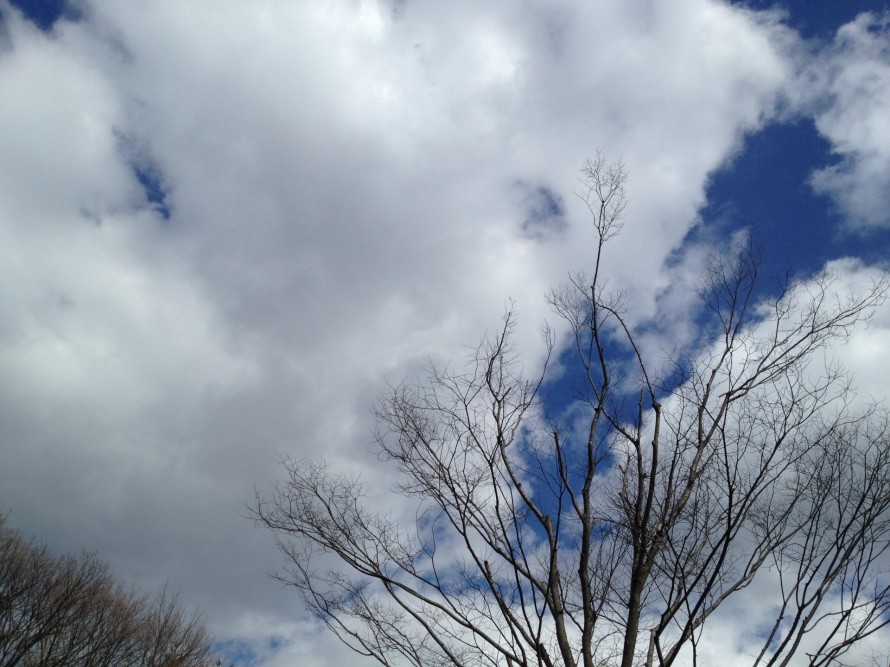 img_34752 img_34752
