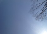 雨に感謝する休日 img_3751-150x110