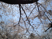 久々の更新になってしまいました… img_3875-220x165