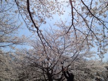 久々の更新になってしまいました… img_3884-220x165